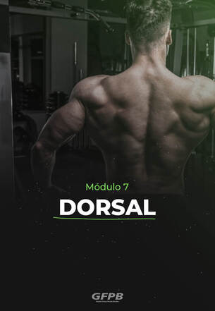 Módulo - 07 - Dorsal