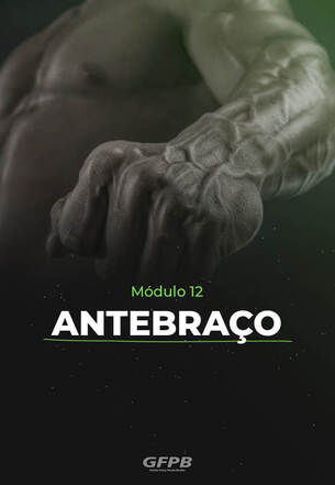 Módulo - 12 - Antebraços