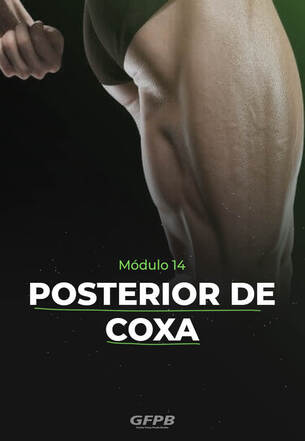 Módulo - 14 - Posterior de coxa